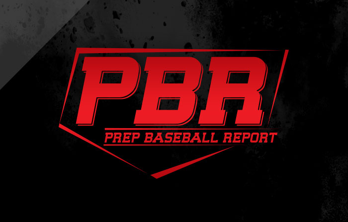 PBR Logodetail