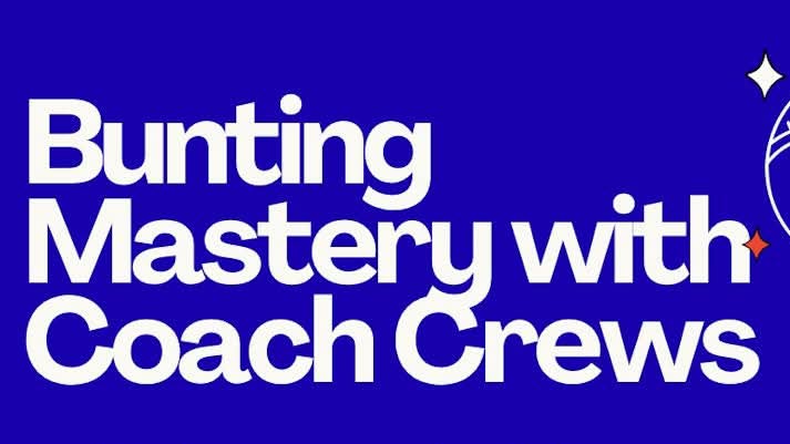 BuntingClass4